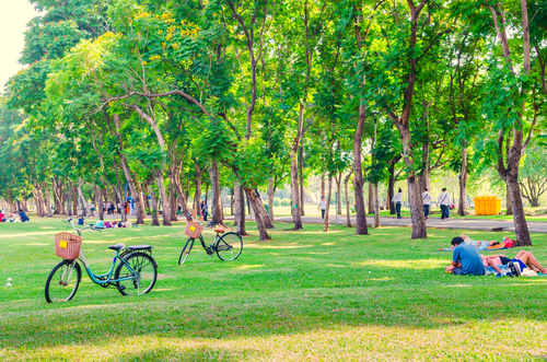 Top 10 Playgrounds Around Omaha, NE